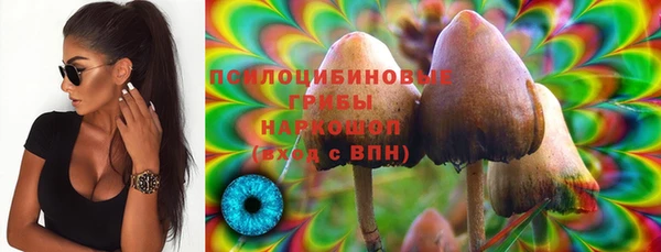 МДПВ Аркадак