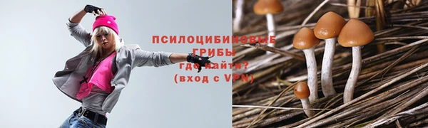 стафф Армянск