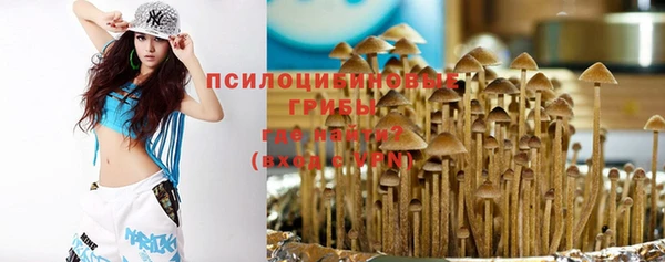 МДПВ Аркадак