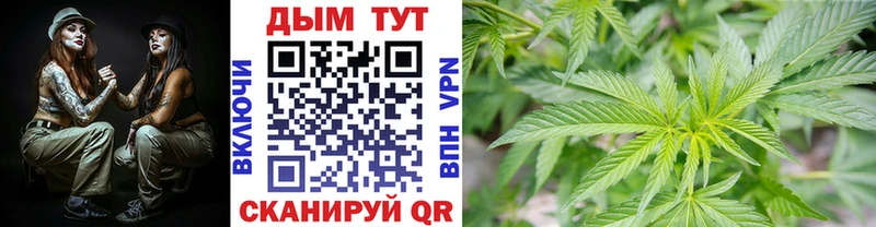 МАРИХУАНА SATIVA & INDICA  ОМГ ОМГ ссылка  Рудня  цены наркотик 